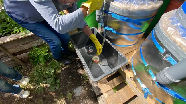 Proben aus dem Fass werden abgefüllt, um den pH-Wert zu ermitteln.