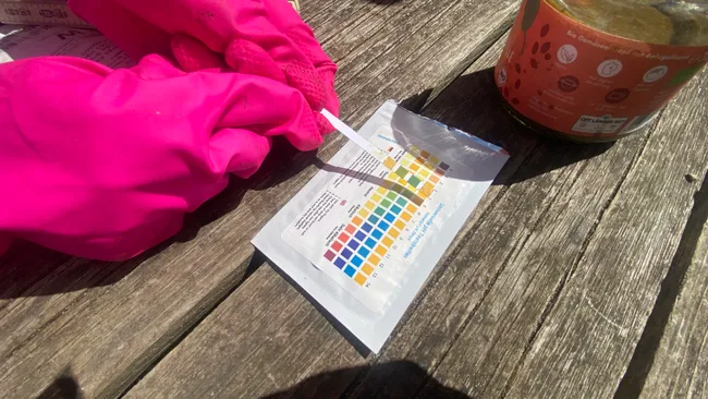 Der pH-Wert soll Aufschluss geben über die mangelnde Aktivität der Bakterien.