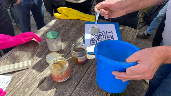 Wir experimentieren mit Steinmehl, um den pH-Wert zu beeinflussen.